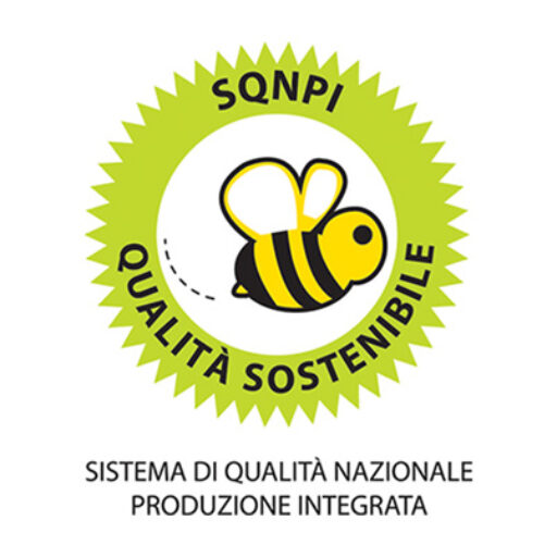 certificazione-sqnpi.jpg
