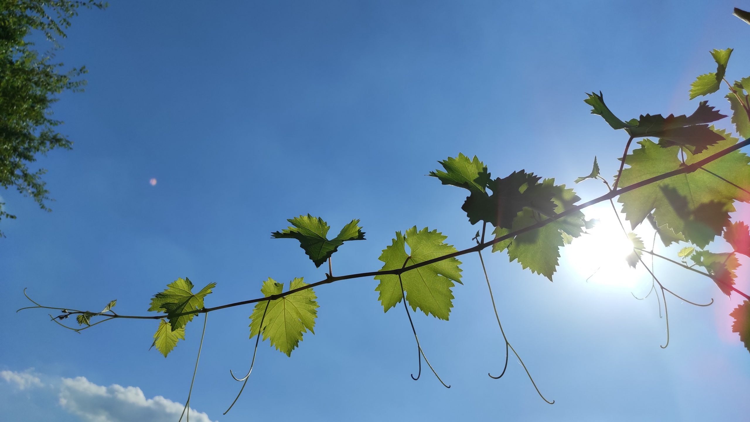Sotto al sole